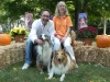 2013-sept-sheltie-picnic-191